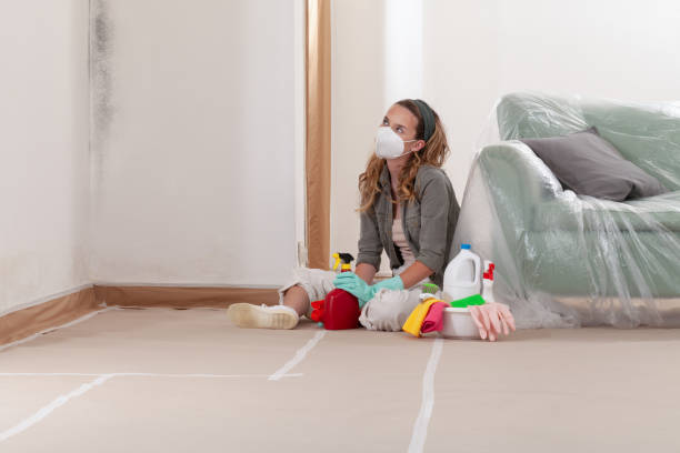 Reliable Mold Cleanup contractor in Edwardsburg, MI by Cheap Mold Removal